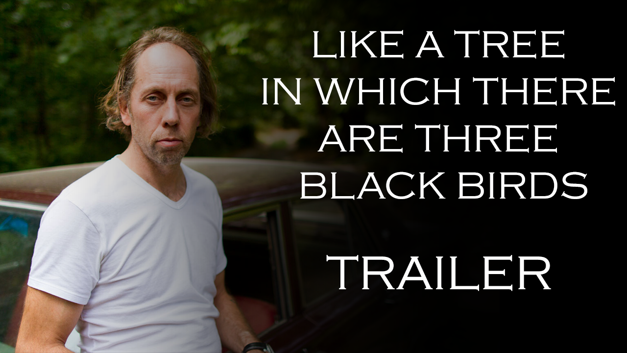 Trailer - Like A Tree In Which There Are Three Black Birds